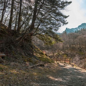 Vallée de Chaudefour by NataFranceAuvergne-16